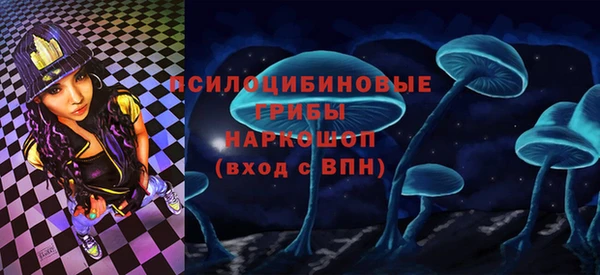 ПСИЛОЦИБИНОВЫЕ ГРИБЫ Армянск
