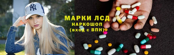 Альфа ПВП Аркадак