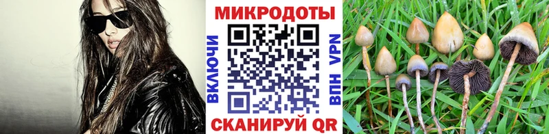 Галлюциногенные грибы Magic Shrooms  Хилок 